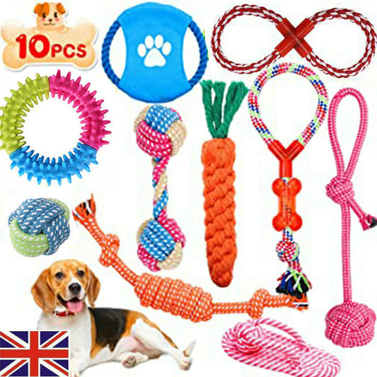 10x Dog Rope Toys Kit Tough Strong Chew Knot Ball Pet Puppy Bear Cotton Toy Bulk